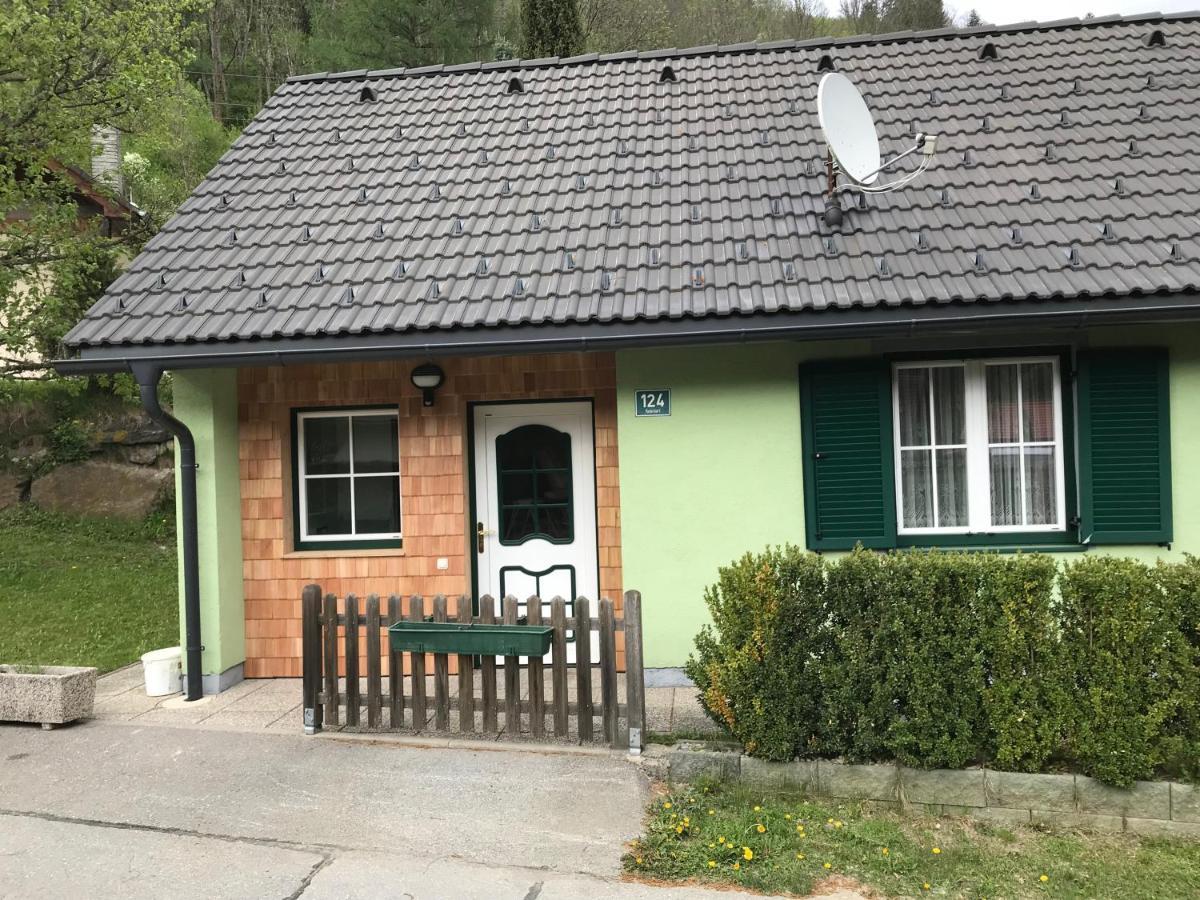 Ferienhaus Stolz Sankt Peter am Kammersberg Exterior photo